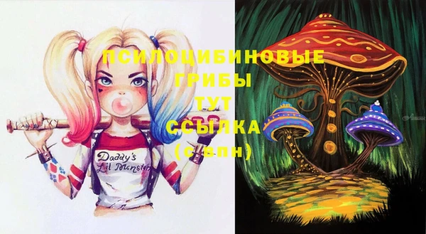 mdpv Надым