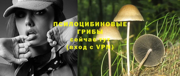 mdpv Надым
